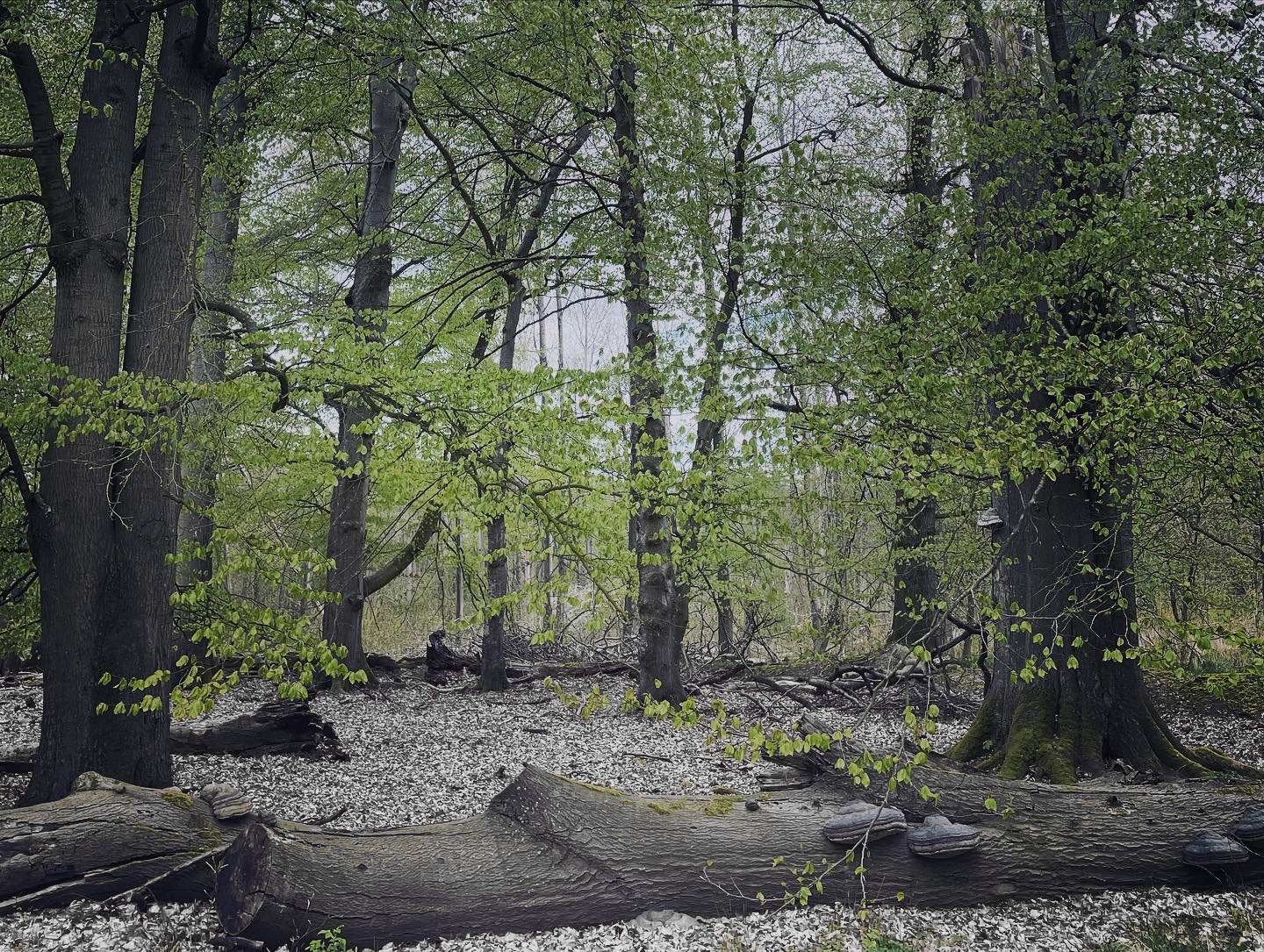 44E0A6D4 7F45 4AFC BE0B 42F5F2912191